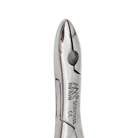 FORCEP 99C ANTER/CANINO/PREMO-SUP ECONOMICO